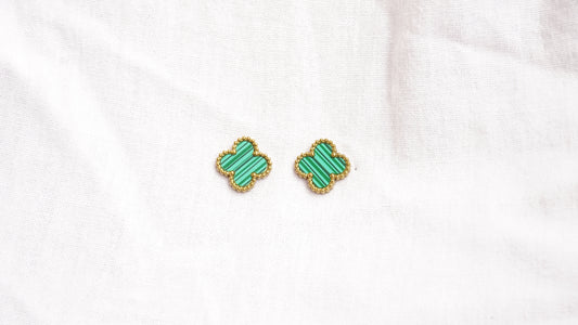 Salve Clover Stainless Steel Earrings for Women Fashion